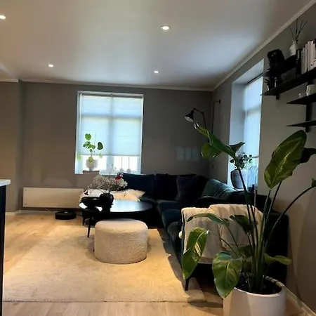 Bynaer Og Fin Leilighet, Stor Privat Terrasse! Bergen